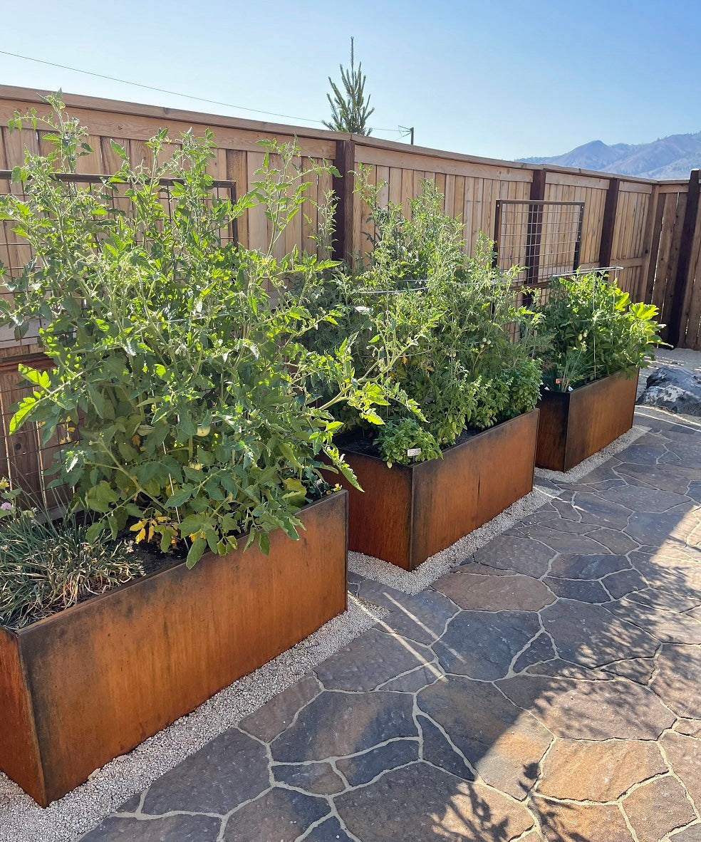 Rectangular Corten Planter