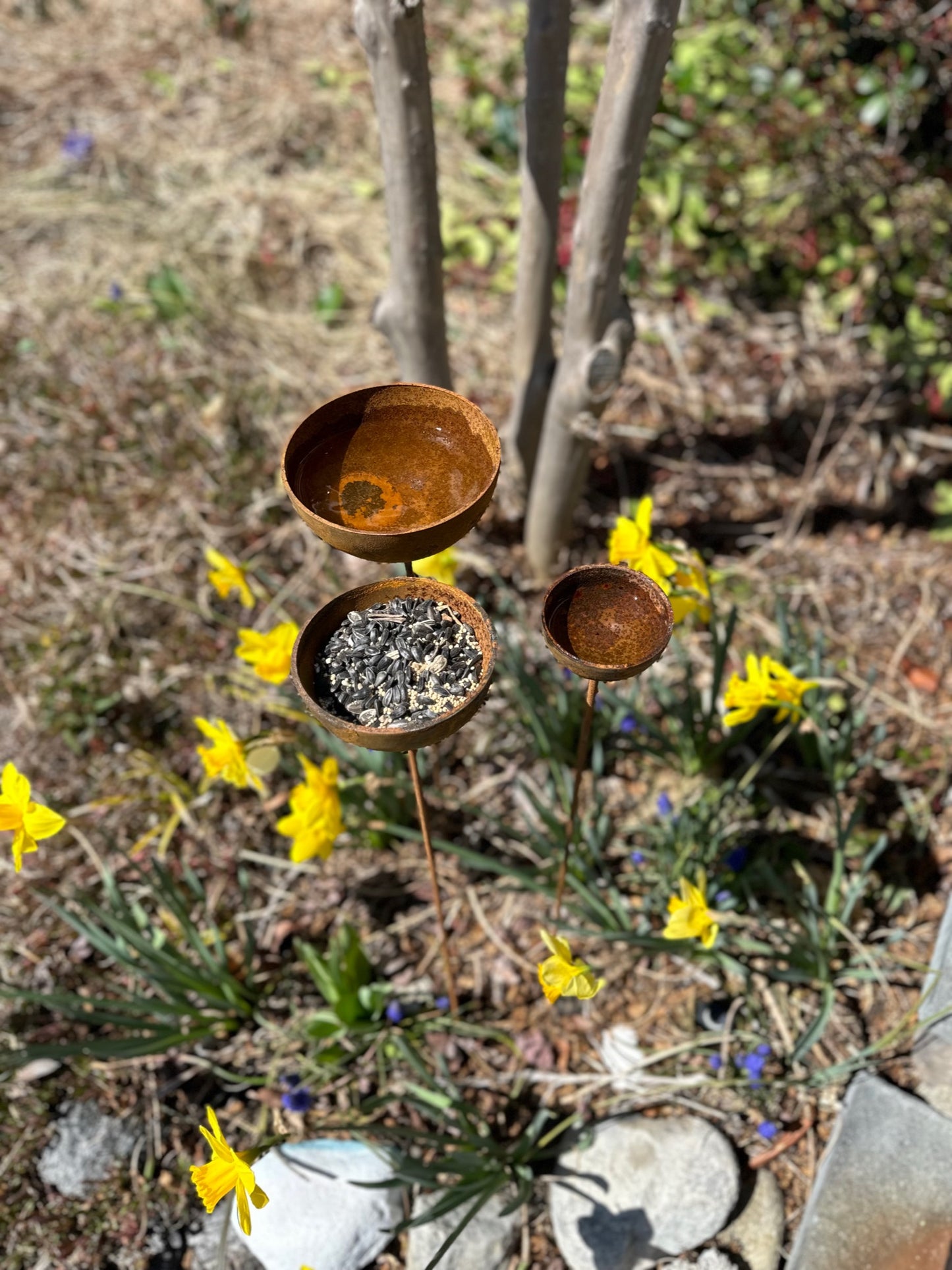 Corten Steel Garden Rain Cup Bowls