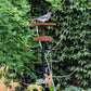 Modern Bird Feeder