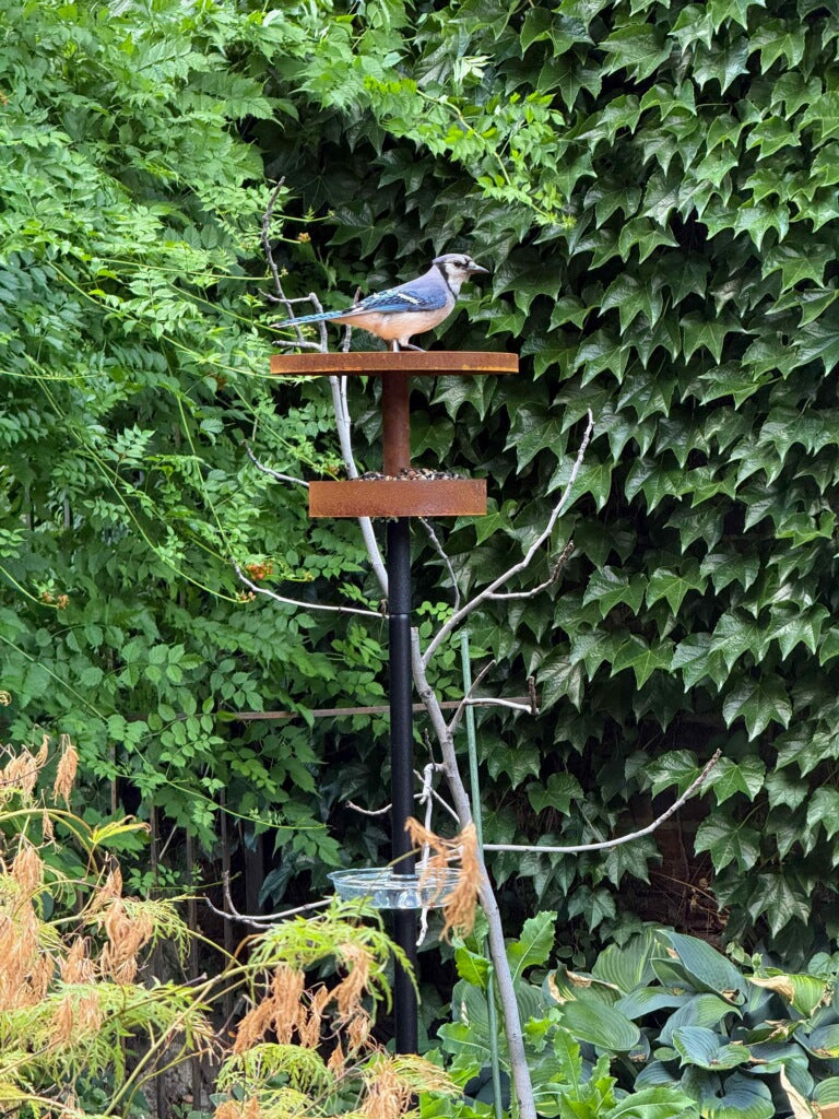 Modern Bird Feeder
