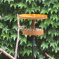 Modern Bird Feeder