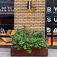 Long Corten Planter