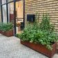 Long Corten Planter