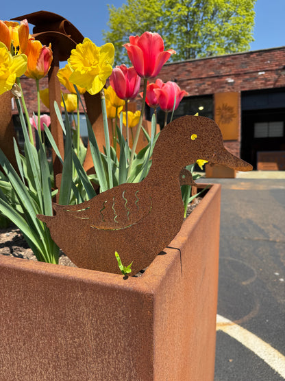Corten Steel Duck