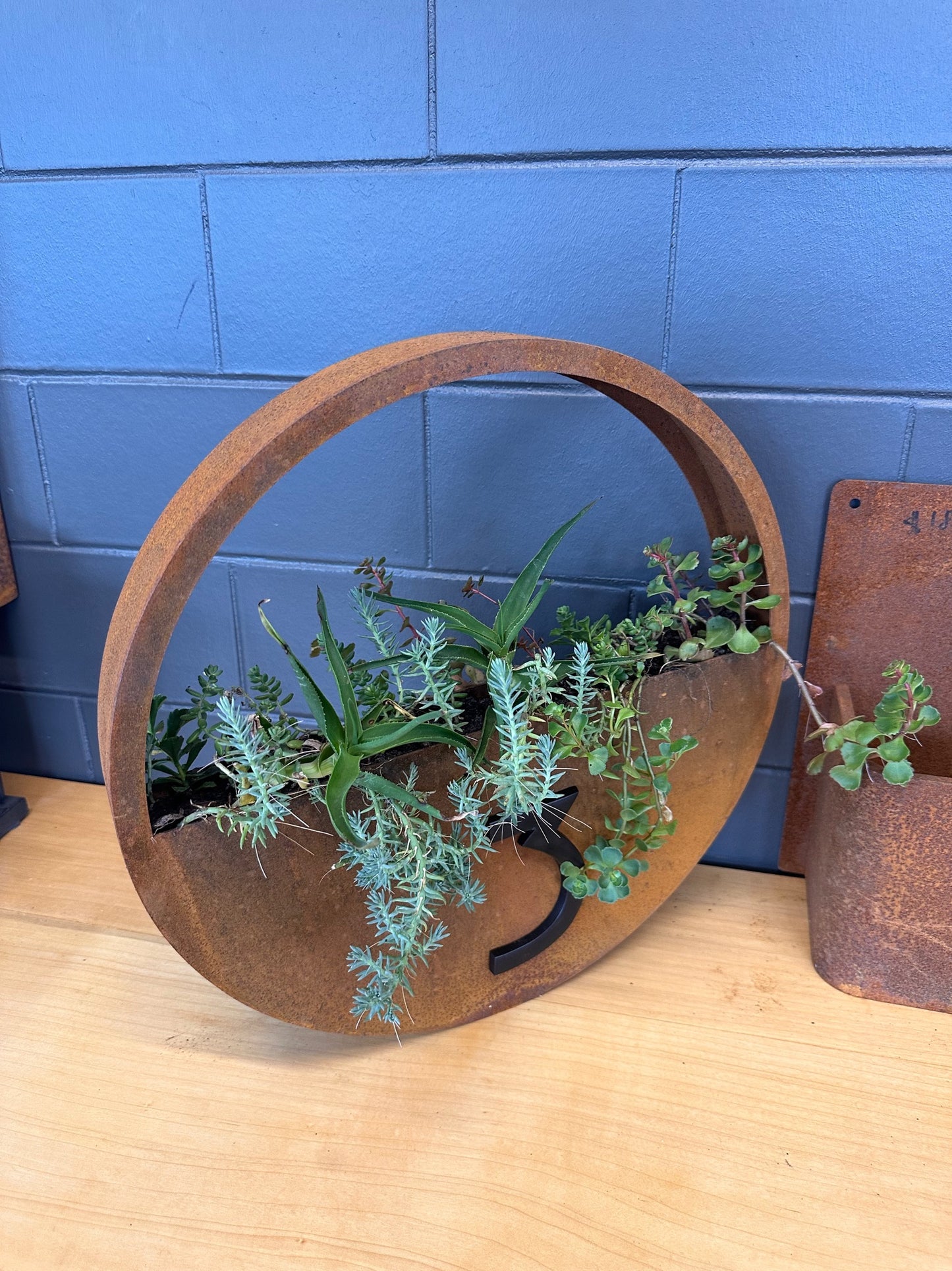 Hanging Circular Planter