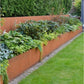 Landscape Edging 8'