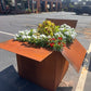 Corten steel Box style Square Planter