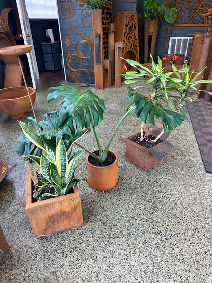 Square Planter