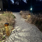 Solar Landscape Lighting