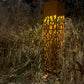 Solar Landscape Lighting