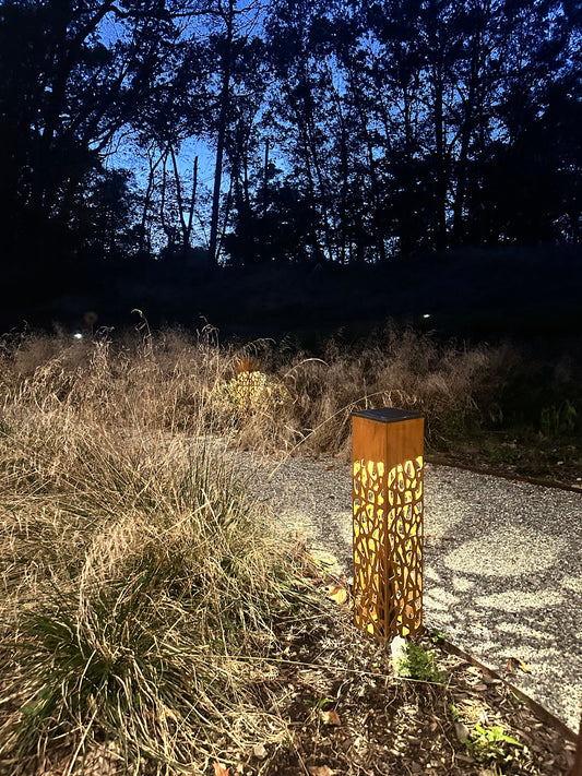 Solar Landscape Lighting