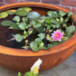 Corten Water Bowl