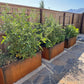 Long Corten Planter