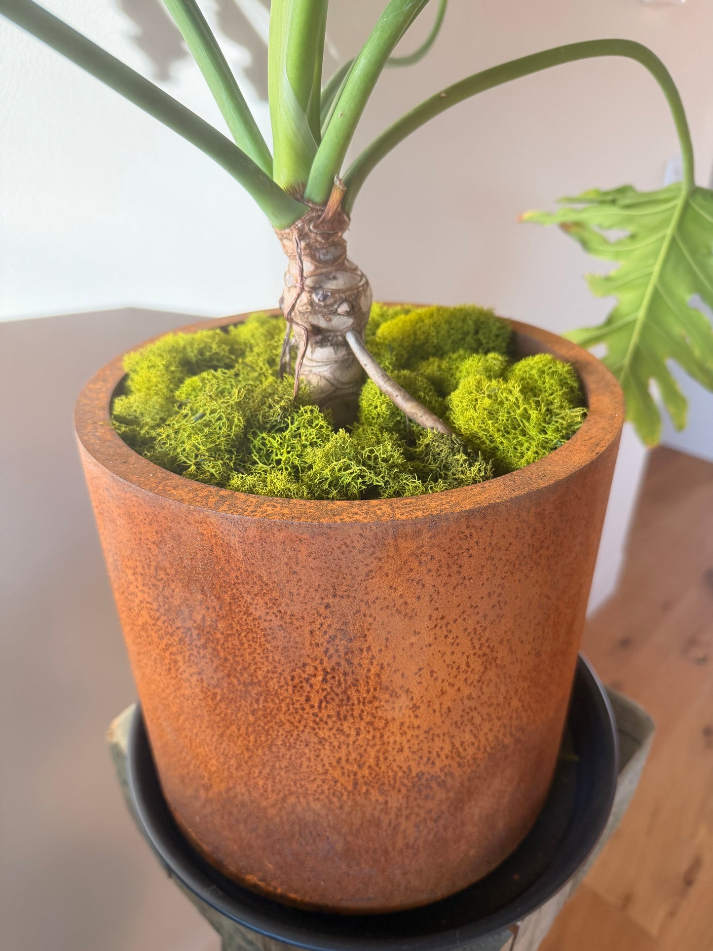 Round Corten Planter