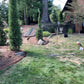 Landscape Edging 8'