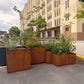 Square Planter