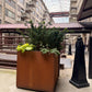 Square Planter