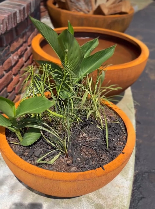 Large Corten Bowl Planter