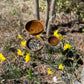Corten Steel Garden Rain Cup Bowls