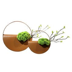 Hanging Circular Planter