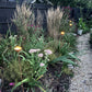 Corten Steel Garden Rain Cup Bowls
