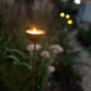 Corten Steel Garden Rain Cup Bowls