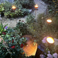 Corten Steel Garden Rain Cup Bowls