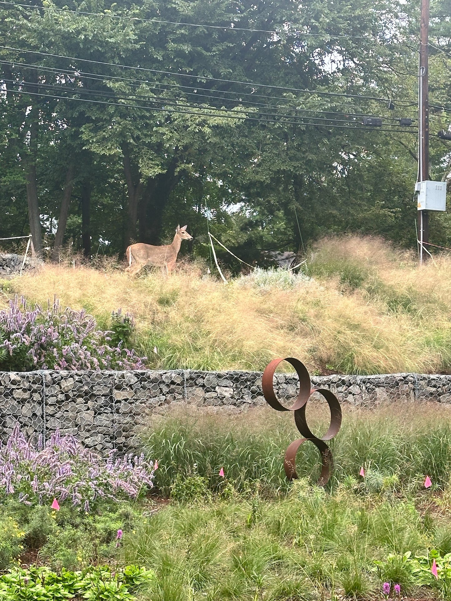 Ring Trio Sculpture