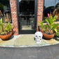Corten Steel Bowls - Planter/Firepit/Water