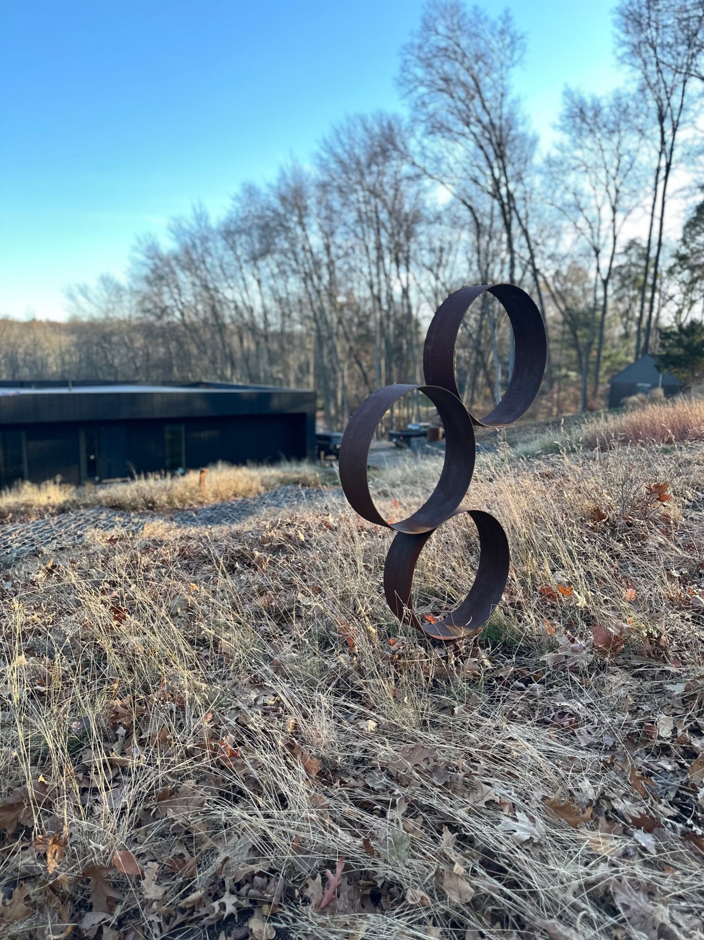 Ring Trio Sculpture