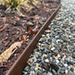 Landscape Edging