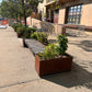 Planter Bench
