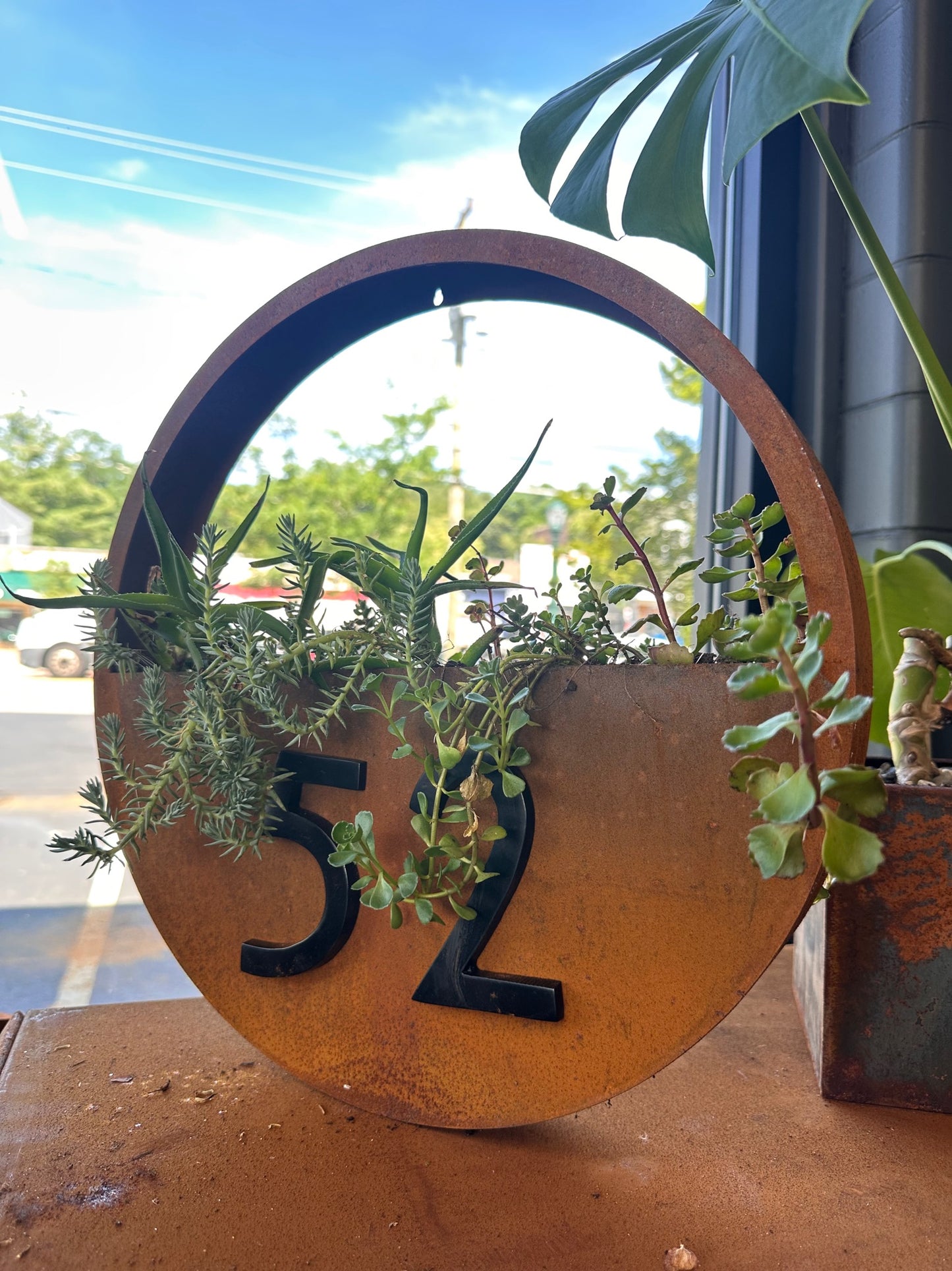 Hanging Circular Planter
