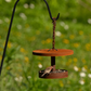 Curva Modern Bird Feeder