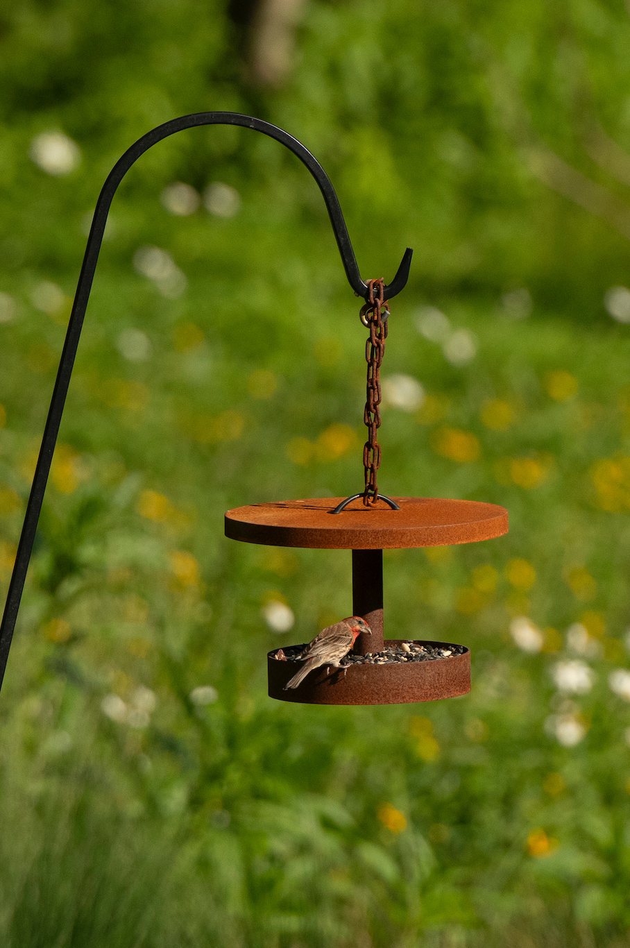 Curva Modern Bird Feeder