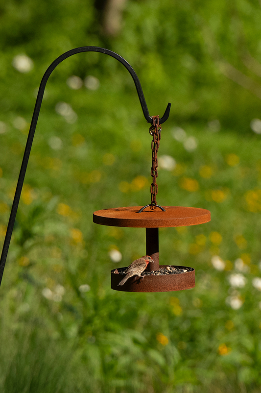Curva Modern Bird Feeder