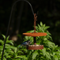 Curva Modern Bird Feeder