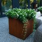 Square Planter