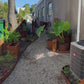 Landscape Edging