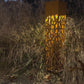 Solar Landscape Lighting